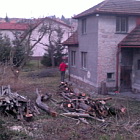 Rekonstrukce