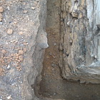Sanace