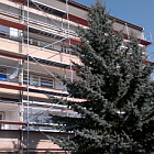 Plastov okna Rehau