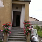 Fasdy Weber